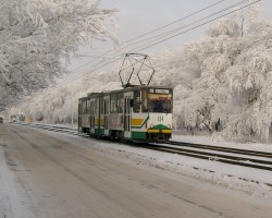 1 января 1996 года 
